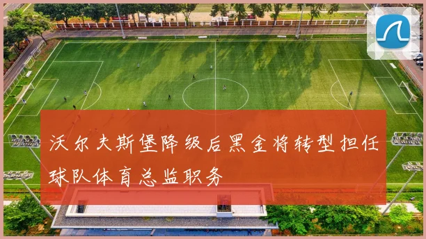 沃尔夫斯堡降级后黑金将转型担任球队体育总监职务